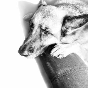 Meet your Posher, Debra